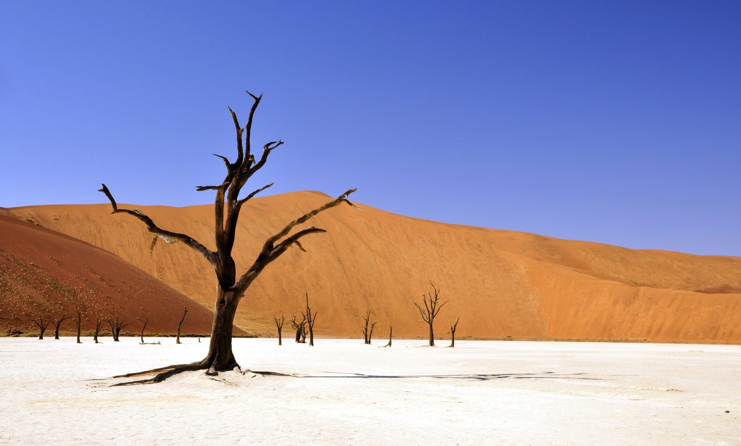namibian sand dunes