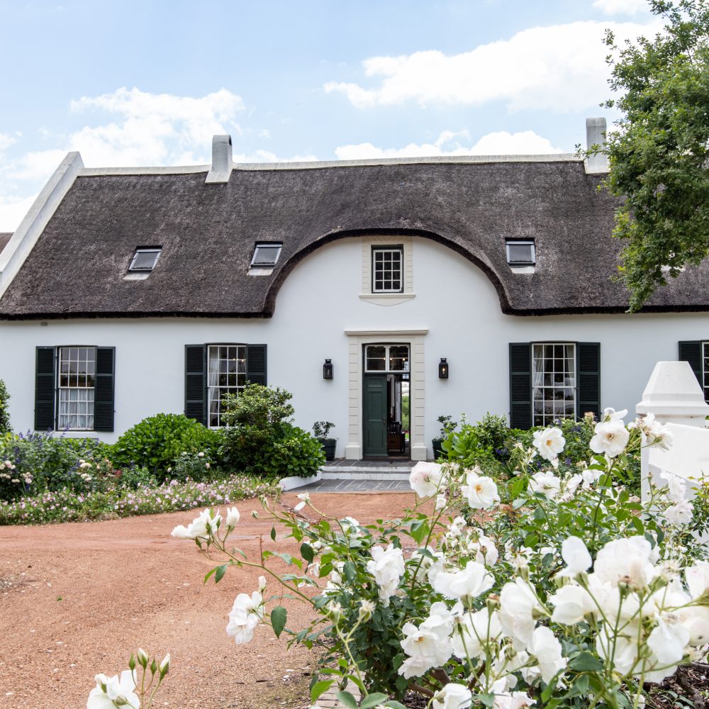 cape thatched accommodation and gardens