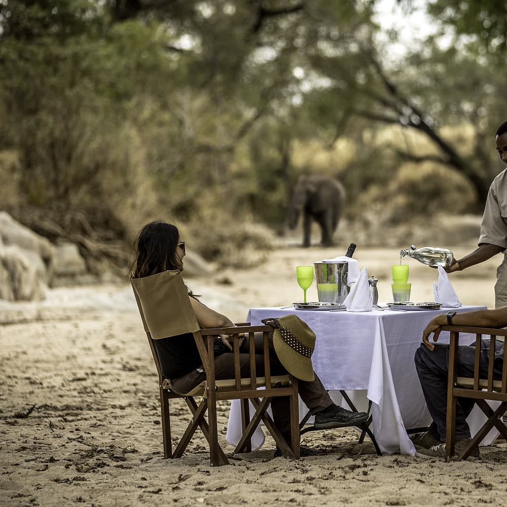 outdoor drinks being served at a table with an elephant in the background