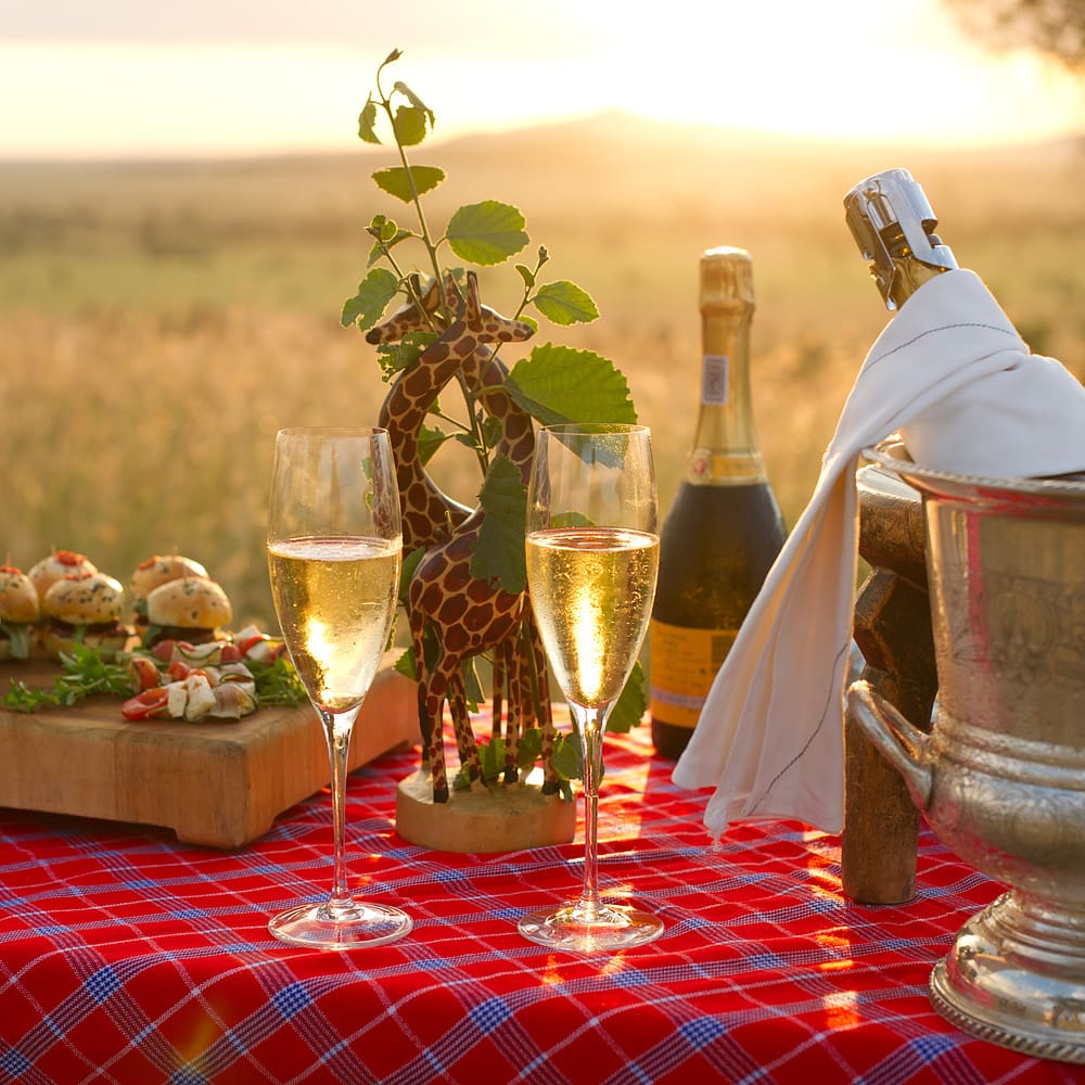 champagne and sundowner snacks on a table