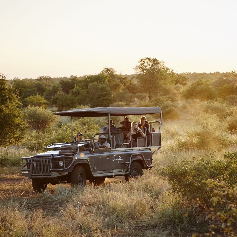 Tourists in a game drive vehicle