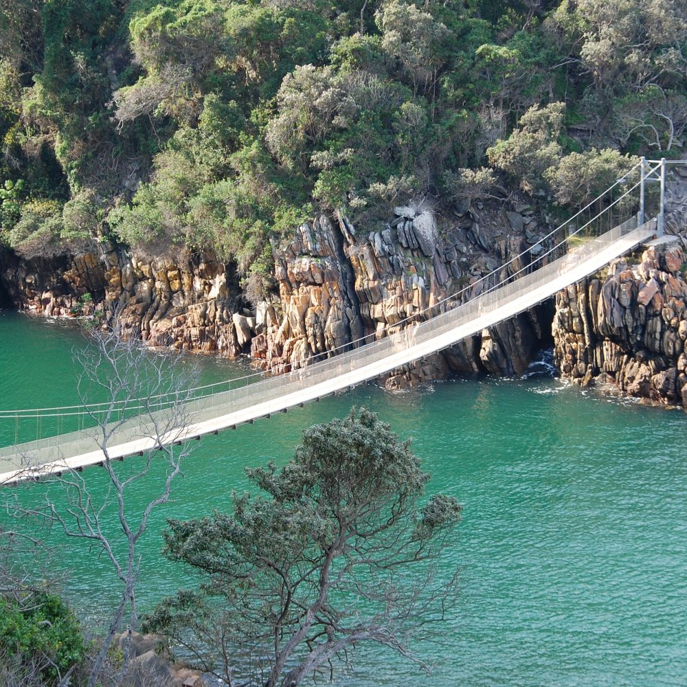 Garden Route suspension bridge