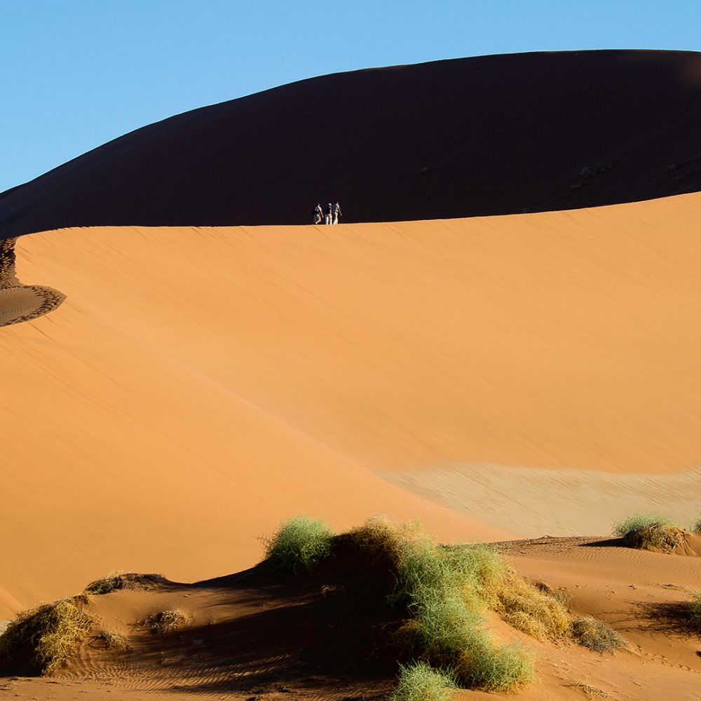 namibian sand dune