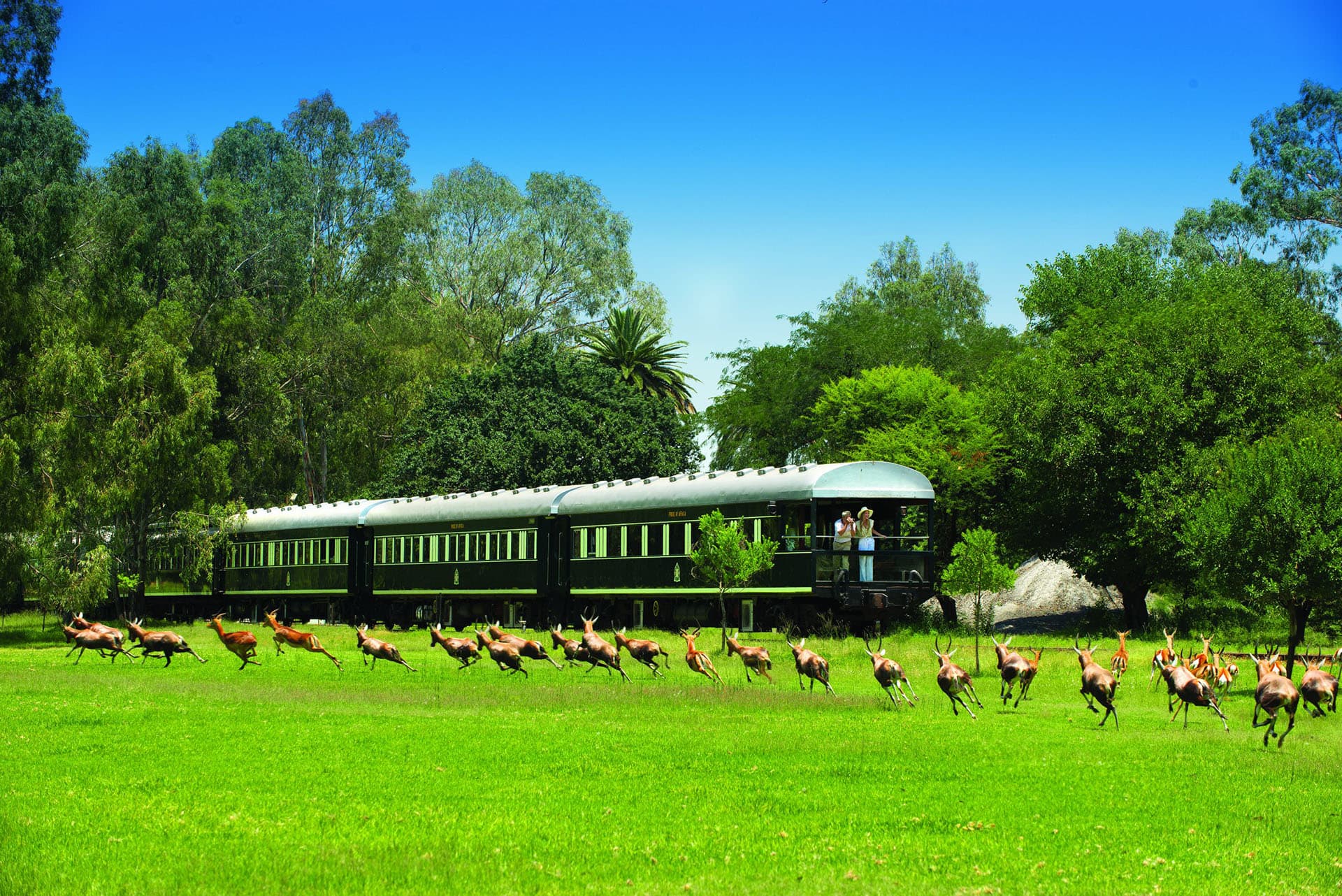 Rovos Rail Observation Balcony with buck running alongside