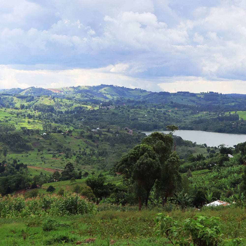 Aerial view of beautiful blue waters of lake among forest