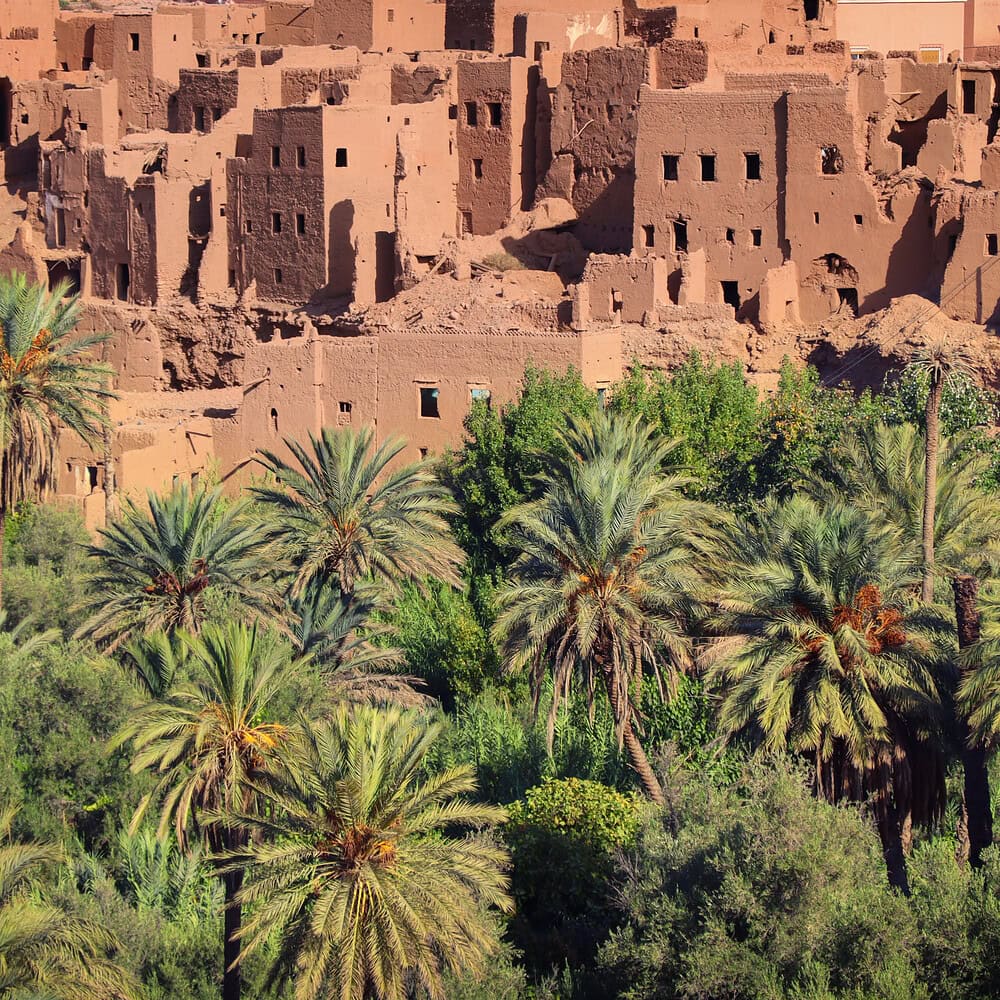 Traditional Moroccan village with clay houses and palm trees in the background. Authentic rural landscape of North Africa with distinctive architecture and natural surroundings.