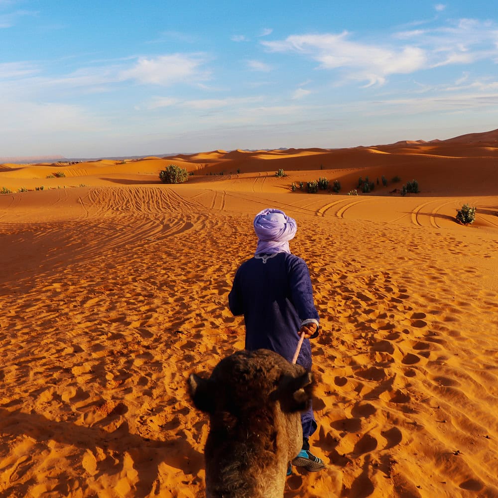 Bedouin man in traditional clothing leading a camel across the sand dunes of the Moroccan desert. Desert landscape and nomadic atmosphere reflect traditional lifestyle.